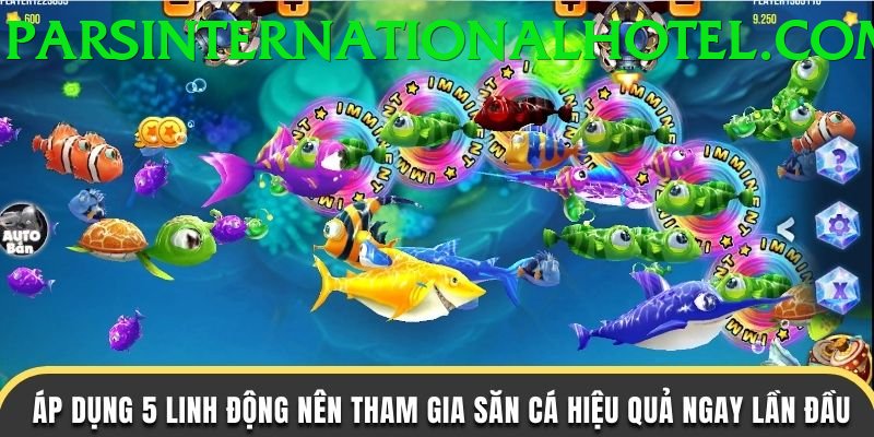 Game Bắn Cá Đổi Thưởng - Ưu đãi đặc biệt