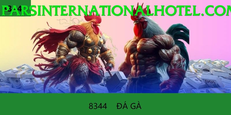 Đá Gà Trực Tiếp - Ưu đãi đặc biệt